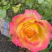 Profile Picture of Phyllis Cartwright Farnsworth (@phyllis.cartwrightfarnsworth.9) on Facebook