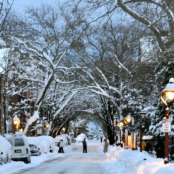 Profile Picture of Robin Muller (@amorerobin) on Poshmark