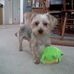 Profile Picture of Paul Carder (@paul.carder.77) on Facebook