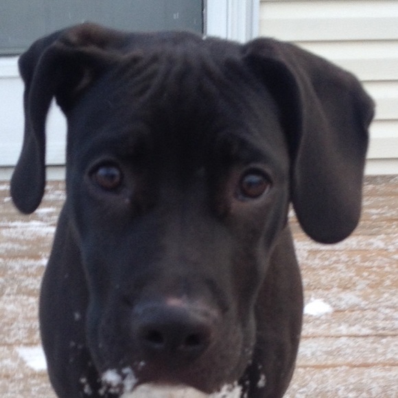 Profile Picture of Devon Nelson (@drnelson1995) on Poshmark