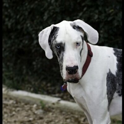 Profile Picture of todd mcwilliams (@jmcwilliams1215) on Twitter