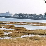 Profile Picture of mark phillips (@phillipsmark57) on Flickr