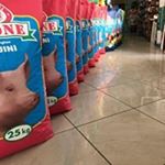 Profile Picture of Antonio Giorgio (@antonio.giorgio114) on Instagram