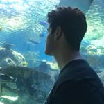 Profile Picture of Jeffrey (@backtrapp) on Instagram