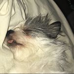 Profile Picture of James Siebels🌱 (@al.james.siebels) on Instagram