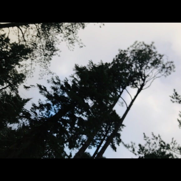 Profile Picture of Yaneth Fimbres (@yanethfm) on Poshmark