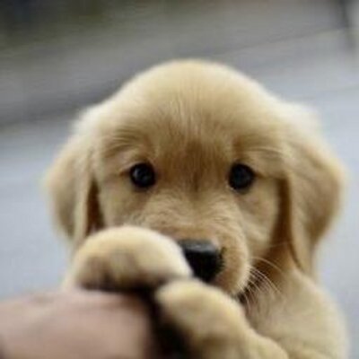 Profile Picture of Erik Bostrom (@erikcbostrom) on Twitter