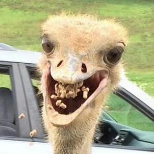 Profile Picture of Jose Hurtado (@josehurtado90) on Twitter