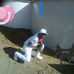 Profile Picture of Paul Vosko (@paul.vosko) on Facebook