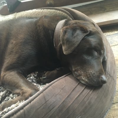 Profile Picture of G Phillips (@gphillips2008) on Twitter