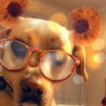 Profile Picture of Charlie Kidd (@charliekidd_thelab) on Instagram