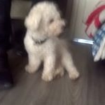 Profile Picture of Bobby cox (@bobbycox9411) on Instagram