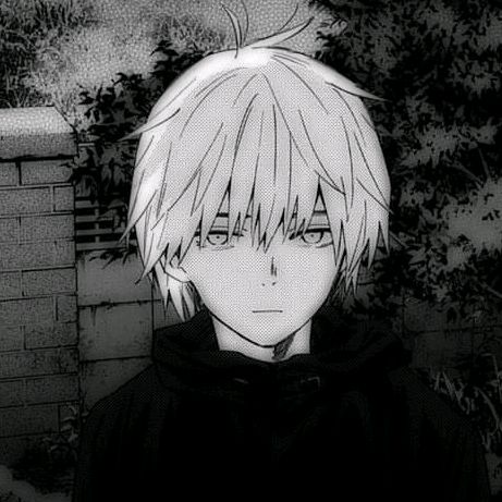 ГигоЧад - Tiktok Profile Picture of ГигоЧад (@gigo_chadn) on Tiktok