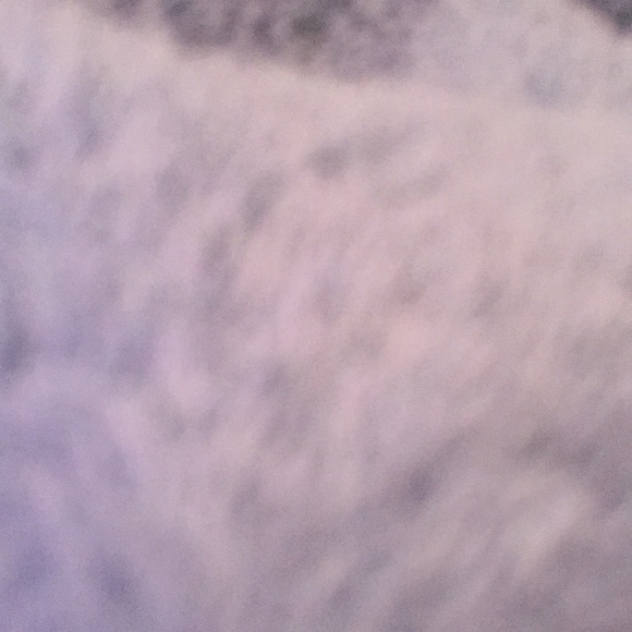 Toni Harlen - Poshmark Profile Picture of Toni Harlen (@mzabzolut) on Poshmark