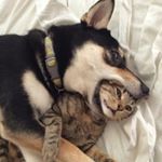 Profile Picture of Emmanuel Brewer (@emmanuel.brewer) on Instagram