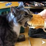 Profile Picture of sam.gilbey_ (@sam.gilbey_) on Instagram