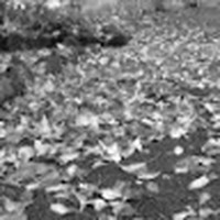 Jasmine Jolly - Quora Profile Picture of Jasmine Jolly (@jasmine-jolly-18) on Quora