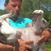 Profile Picture of Gilbert Rosenbrier (@gilbertrosenbrier1773) on Youtube