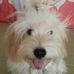 Profile Picture of Analiza Estrada (@analiza.estrada.3517) on Facebook
