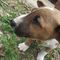 Profile Picture of John Rockey (@john.rockey.9083) on Facebook