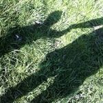 Profile Picture of Fabian Reitz (@fabianreitz) on Instagram