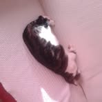 Profile Picture of Michelle Robic (@michelle.robic.9) on Facebook