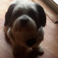 Profile Picture of Dan Armbruster (@dan-armbruster-3) on Quora