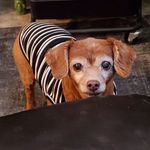 Profile Picture of Heidi M Ziegler (@heidimziegler) on Instagram