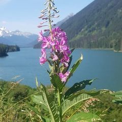 Profile Picture of heatherthiessen40 (@@heatherthiessen40) on Tiktok