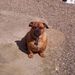 Profile Picture of John Scritchfield (@johntandlindasc) on Pinterest