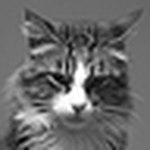 Profile Picture of Mafalda Sampayo (@mafalda t.s.) on Flickr