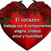 Profile Picture of Yolanda Prieto (@yolandaprieto35) on Pinterest