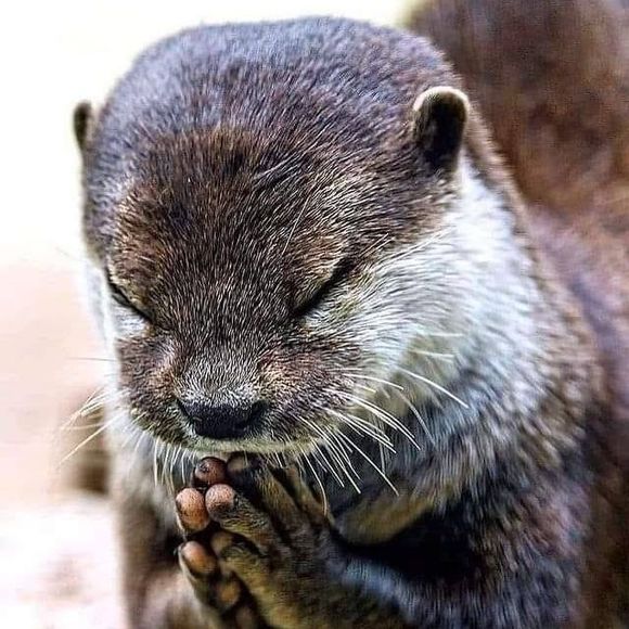 Laura Katicich - Poshmark Profile Picture of Laura Katicich (@lkaticich) on Poshmark