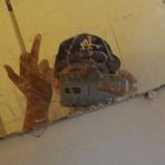 Profile Picture of Jeffrey Mendez (@sinner_213) on Instagram