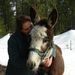 Profile Picture of Marci Van Ausdall (@marciv2012) on Pinterest