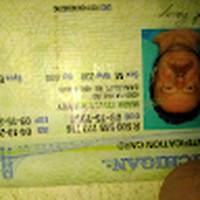 Profile Picture of Mark Ranney (@mark-ranney-4) on Quora