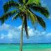 Profile Picture of Aimee Triplett Hutton (@aimeehutton1972) on Pinterest