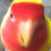 Profile Picture of Brian Park (@brianpark6340) on Youtube