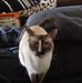 Profile Picture of Kevin Nowlin (@kevin.nowlin.9480) on Facebook