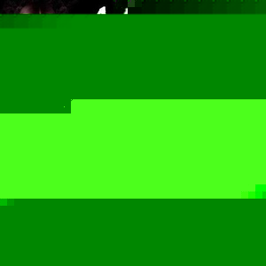 Profile Picture of Kim Langerman (@391312416) on Myspace