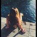 Profile Picture of Logan Poole (@logantpoole) on Pinterest