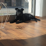 Francesco Arcudi - Youtube Profile Picture of Francesco Arcudi (@francescoarcudi8216) on Youtube