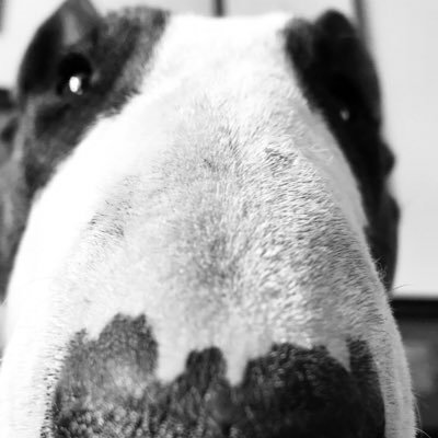 Profile Picture of Mark Goff (@markgof81352507) on Twitter