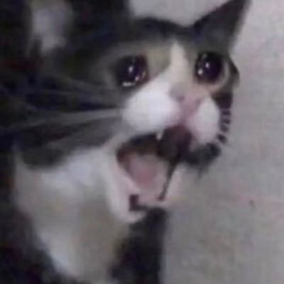 Profile Picture of Sydney Carroll (@YoLocalGinger) on Twitter