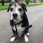 Profile Picture of Kenneth Harvey (@funkifyyourlyfe) on Instagram