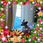 Profile Picture of Brenda Sutterfield (@brenda.sutterfield) on Instagram
