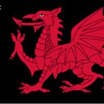 Profile Picture of Thomas Willmott (@willmott111) on Instagram