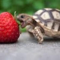 Profile Picture of Owen Lowe (@owen-lowe-11) on Quora
