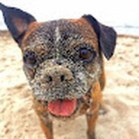 Jason Bergen - Quora Profile Picture of Jason Bergen (@jason-bergen-11) on Quora