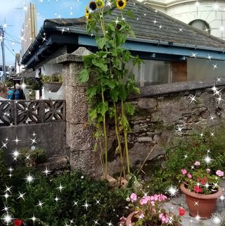 Profile Picture of Josephine Chaney (@josephine.chaney.39) on Facebook